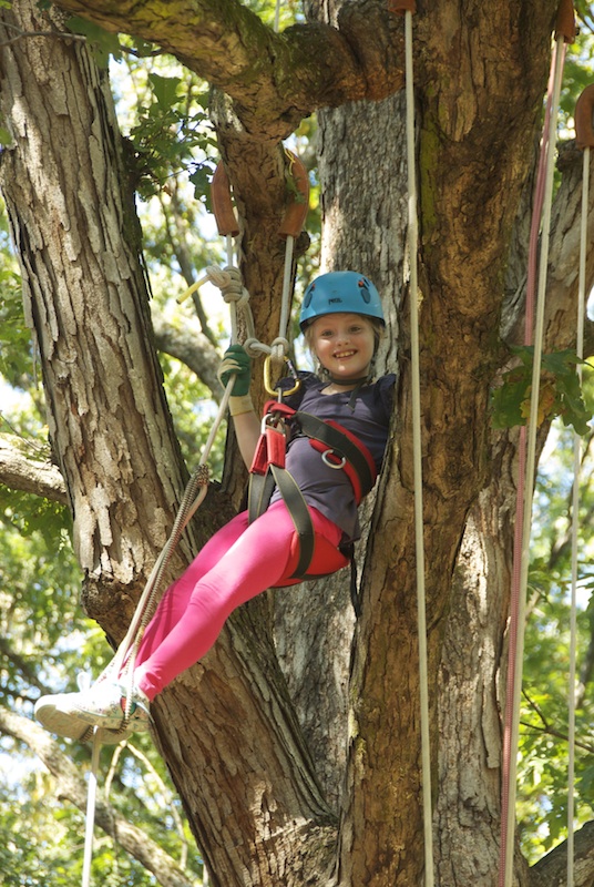 Kids Tree Climb at the U.S. National Arboretum - Casey Trees