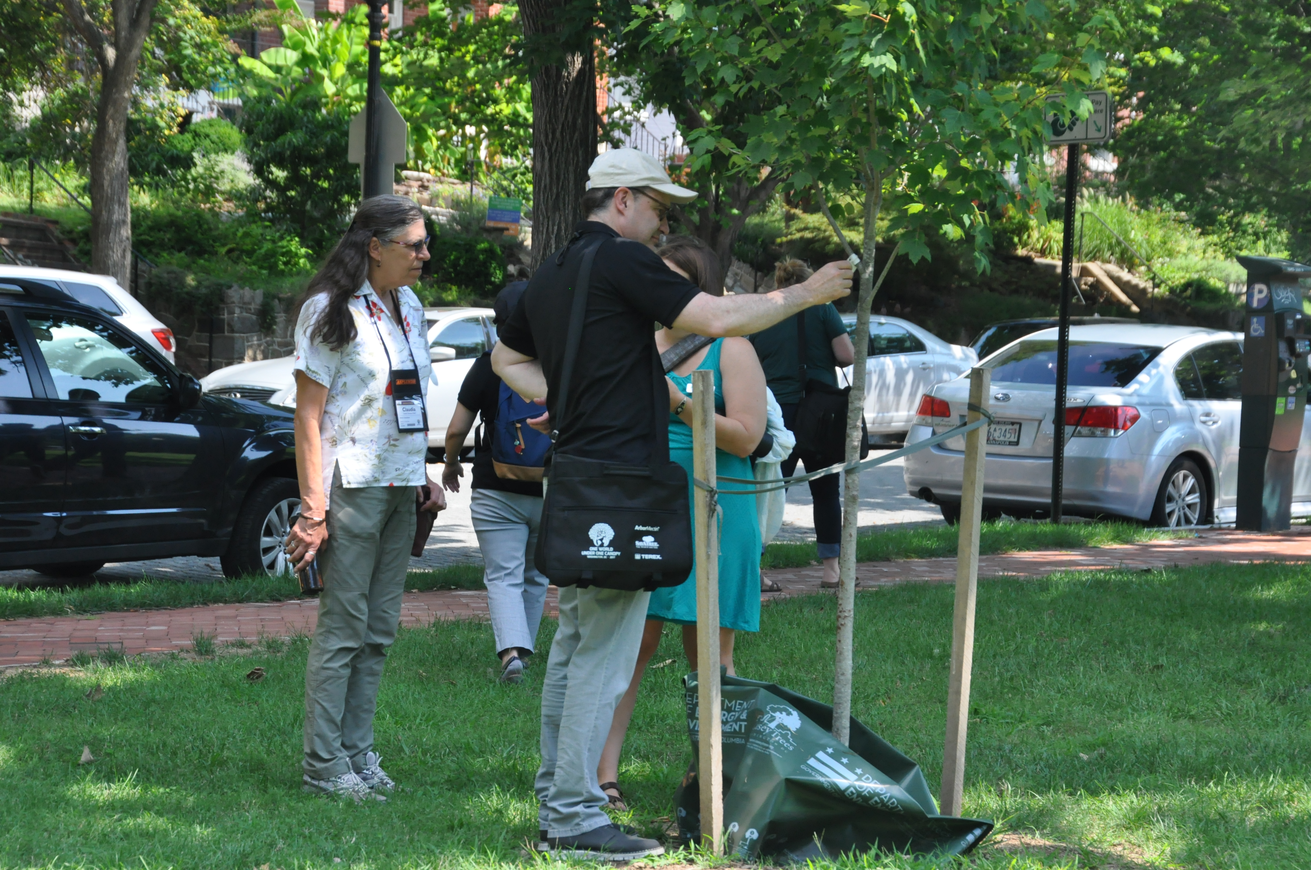 Showing off D.C. on an ISA Tree Tour - Casey Trees