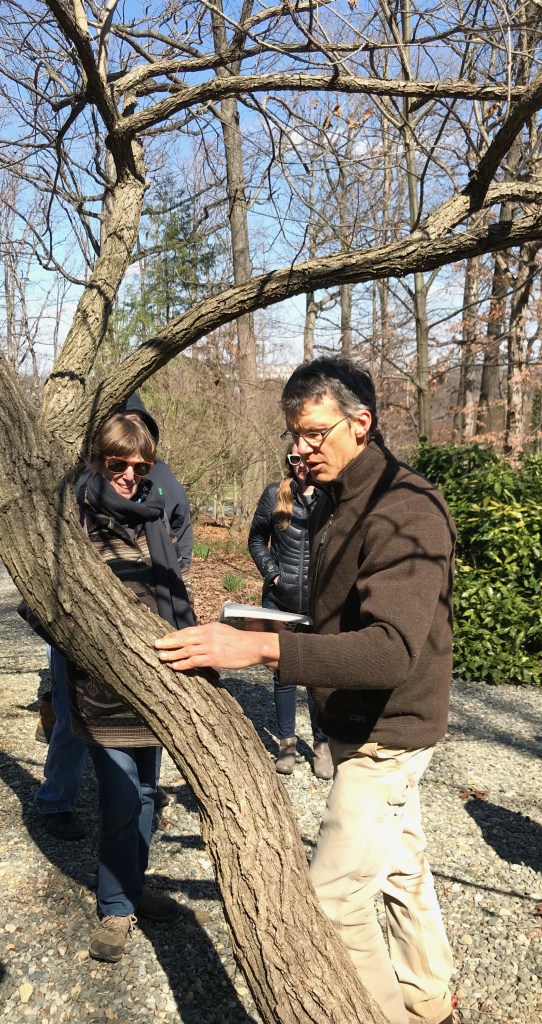 Barking Up the Right Tree Bark ID Class Casey Trees