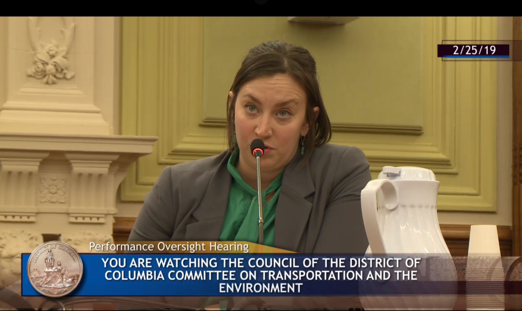 Casey Trees Testifies at D.C.’s Performance and Oversight Hearings