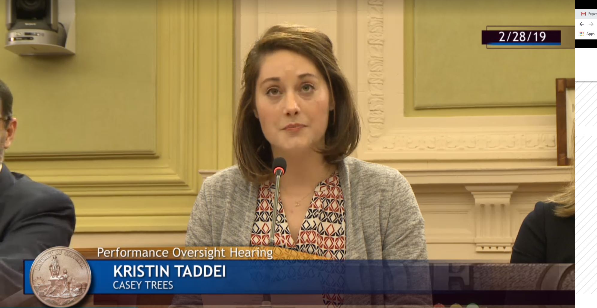 Casey Trees Testifies at D.C.’s Performance and Oversight Hearings