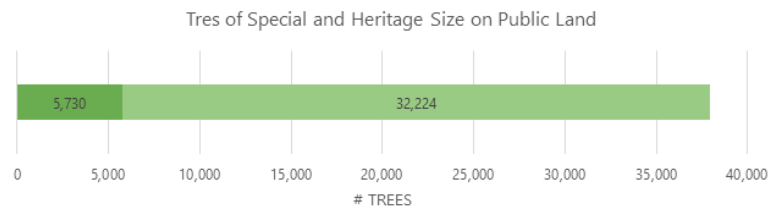 Figure 1: District Owned Trees of Special and Heritage Tree Size