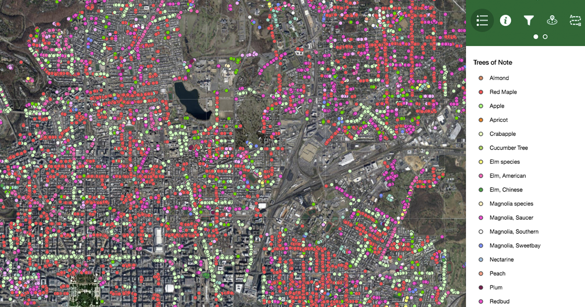 Find Spring Blooms Near You with Our Blooming Tree Map Casey Trees