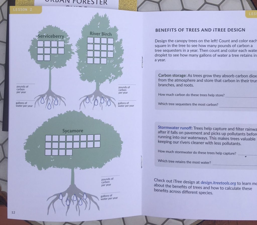 inner page about trees, carbon, and water