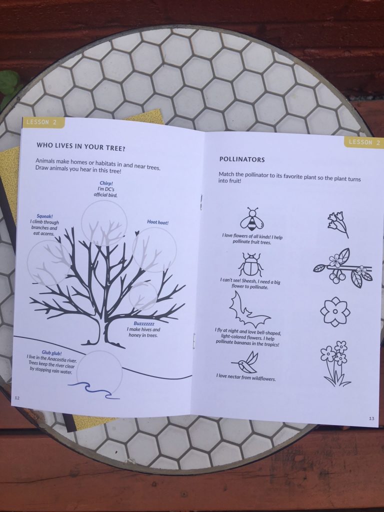 inner page of the guide about creatures that lives in trees