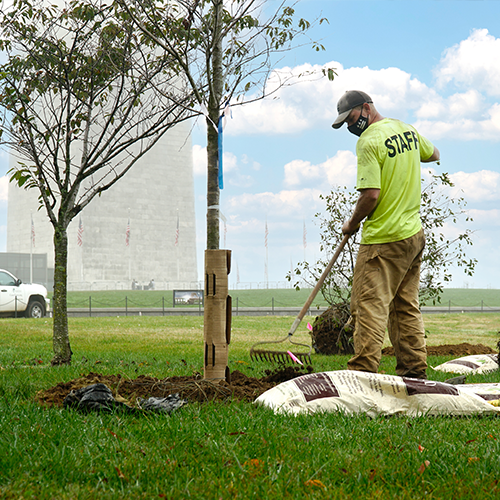 a crew member planting in front of the Washington Monument