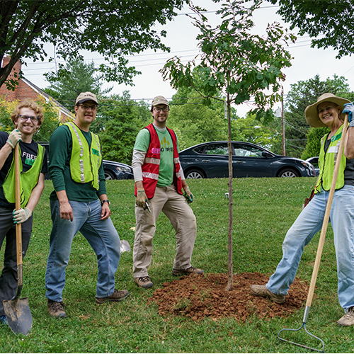 Plant | Casey Trees