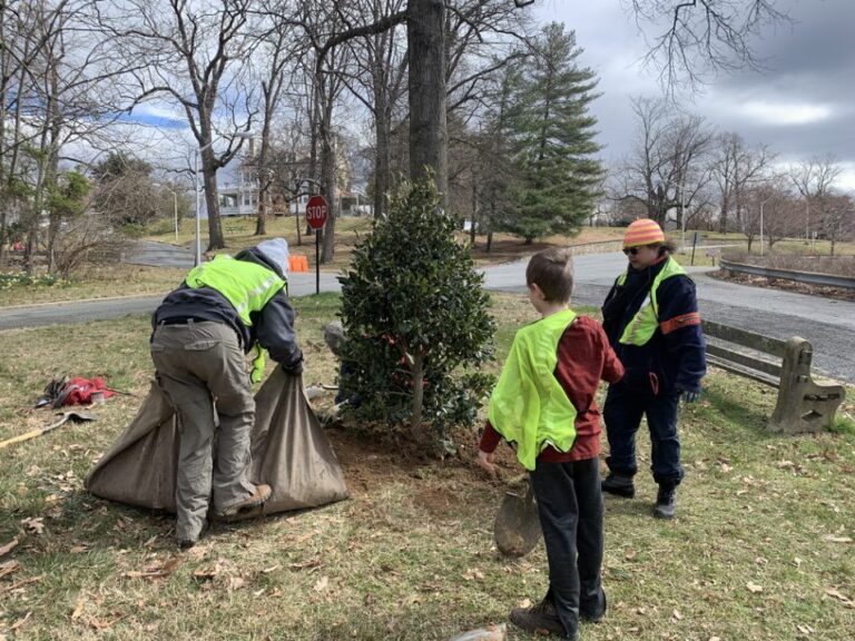 Tree Planting at The Armed Forces Retirement Home - Casey Trees