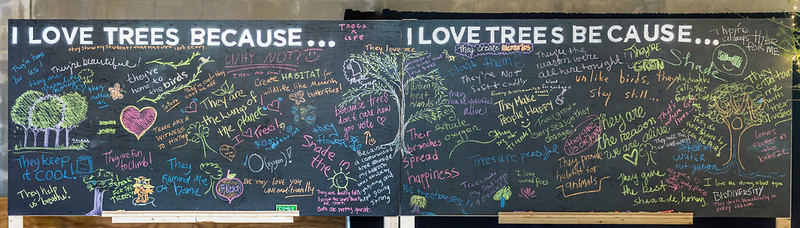 a chalkboard that says I Love Trees Because, and people have written all over it 