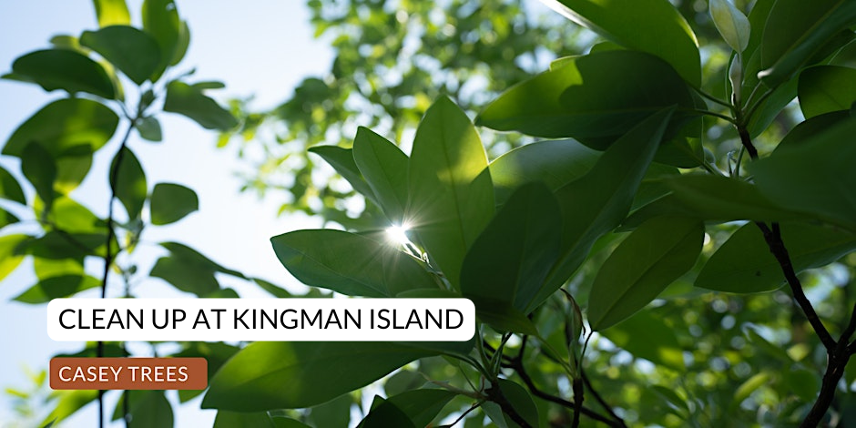 Clean up at Kingman Island