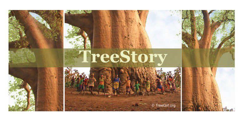 What’s Your Tree Story? - Casey Trees