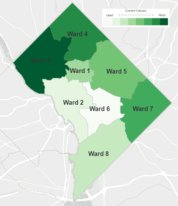 2020 Tree Canopy Map