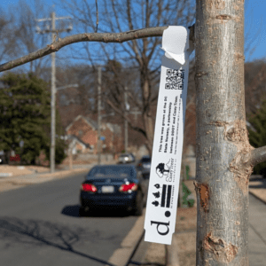 DC State Nursery Tag on street tree