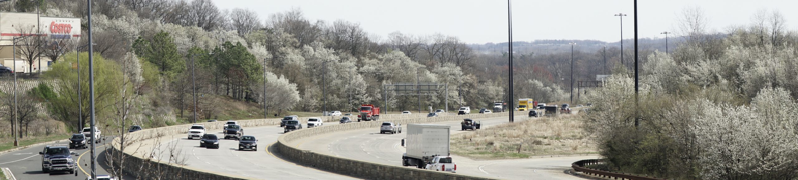 Bradford Pears lining interstate 395 in Northeast DC.
