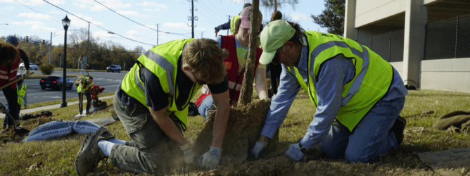 Volunteers planting a tree