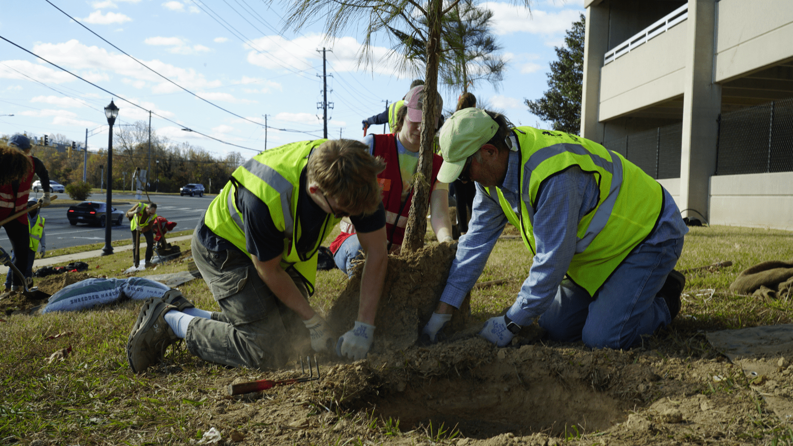 Volunteers planting a tree
