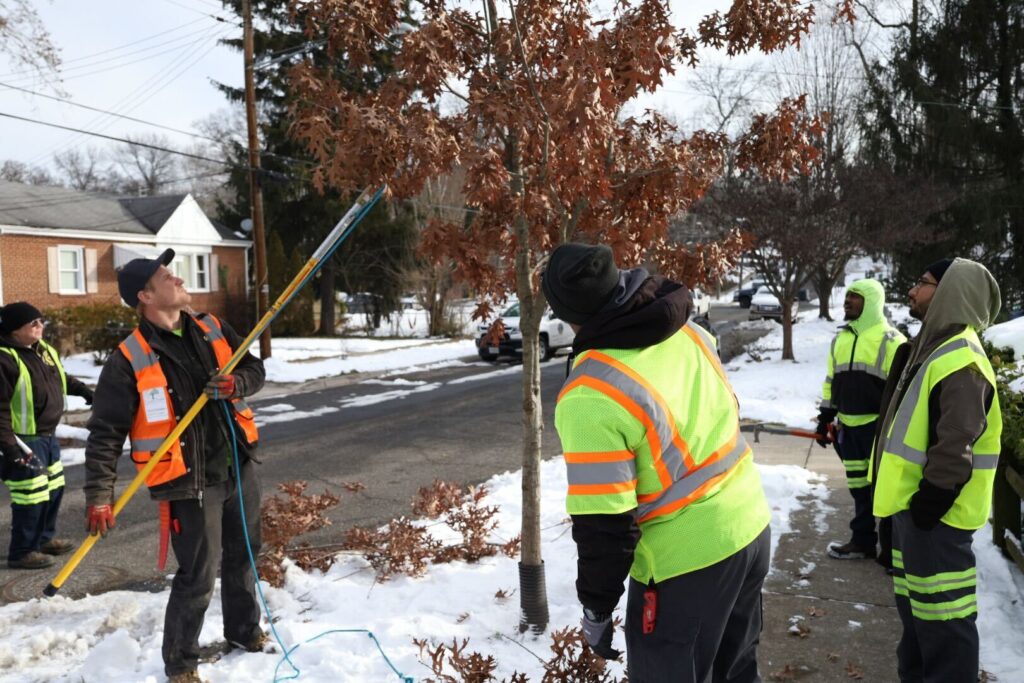 Pruning training with the city of Hyasttsville.