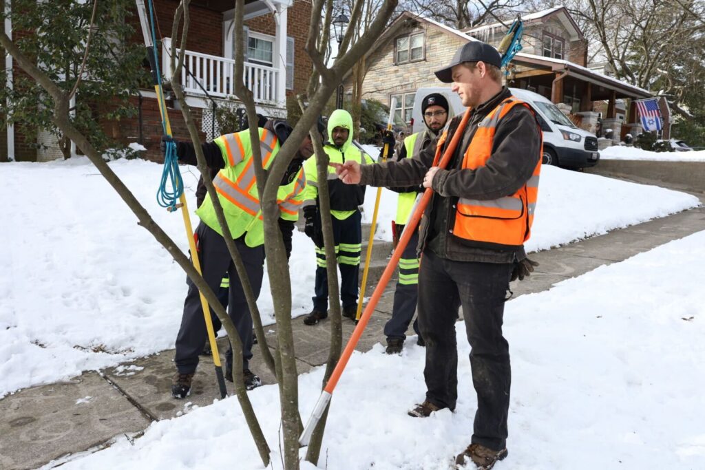 Pruning training with the city of Hyasttsville.