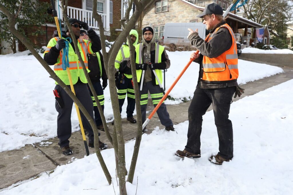 Pruning training with the city of Hyasttsville.