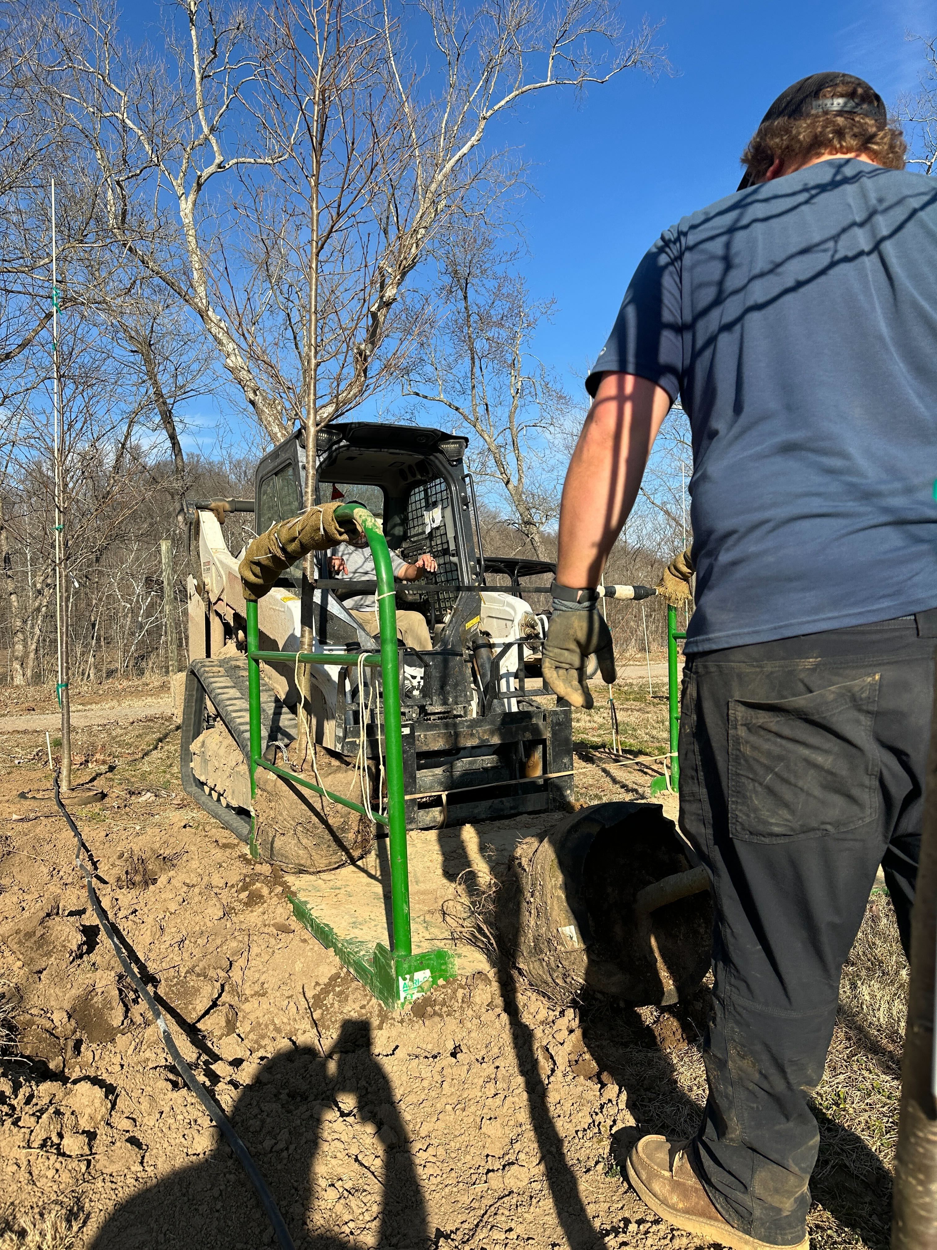 Digging trees with heavy equipment at Casey Tree Farm
