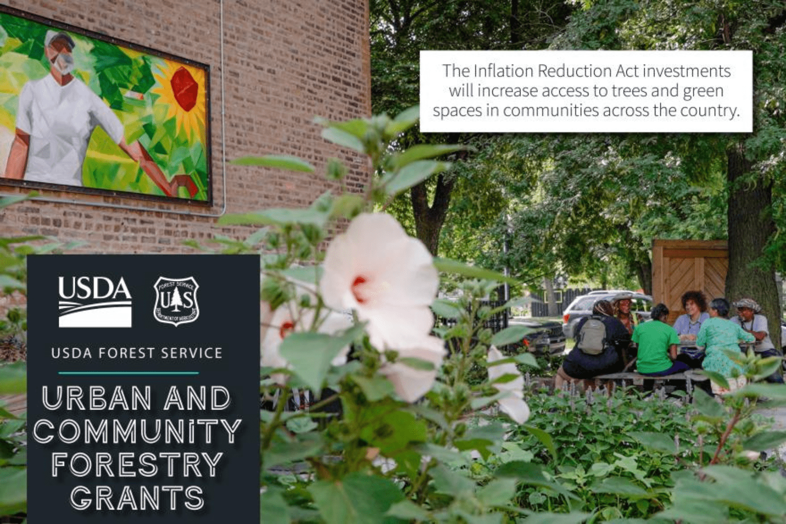 IRA Forest Service Banner 2