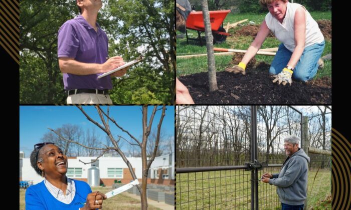 Four photos of each Canopy Award nominee in their element