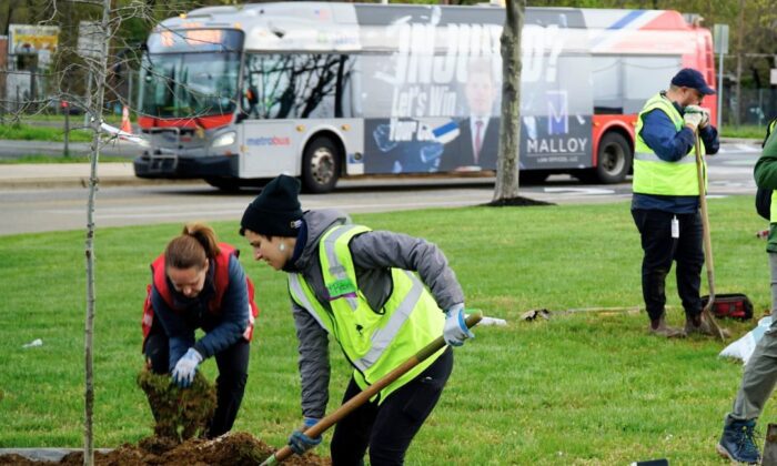 A group of volunteers planting trees at West Hyattsville Metro Station with a metrobus in the background