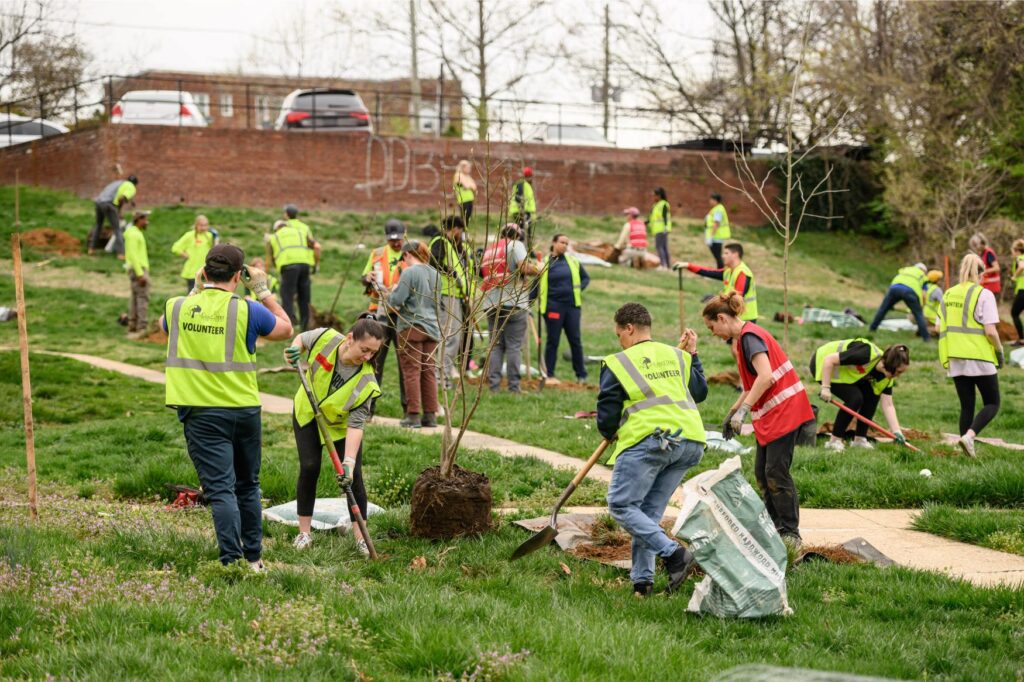 A field of volunteers planting trees