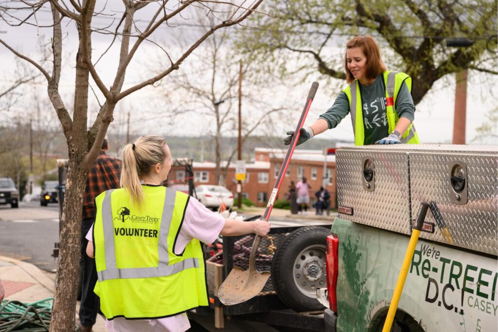A volunteer is handed a shovel before planting trees
