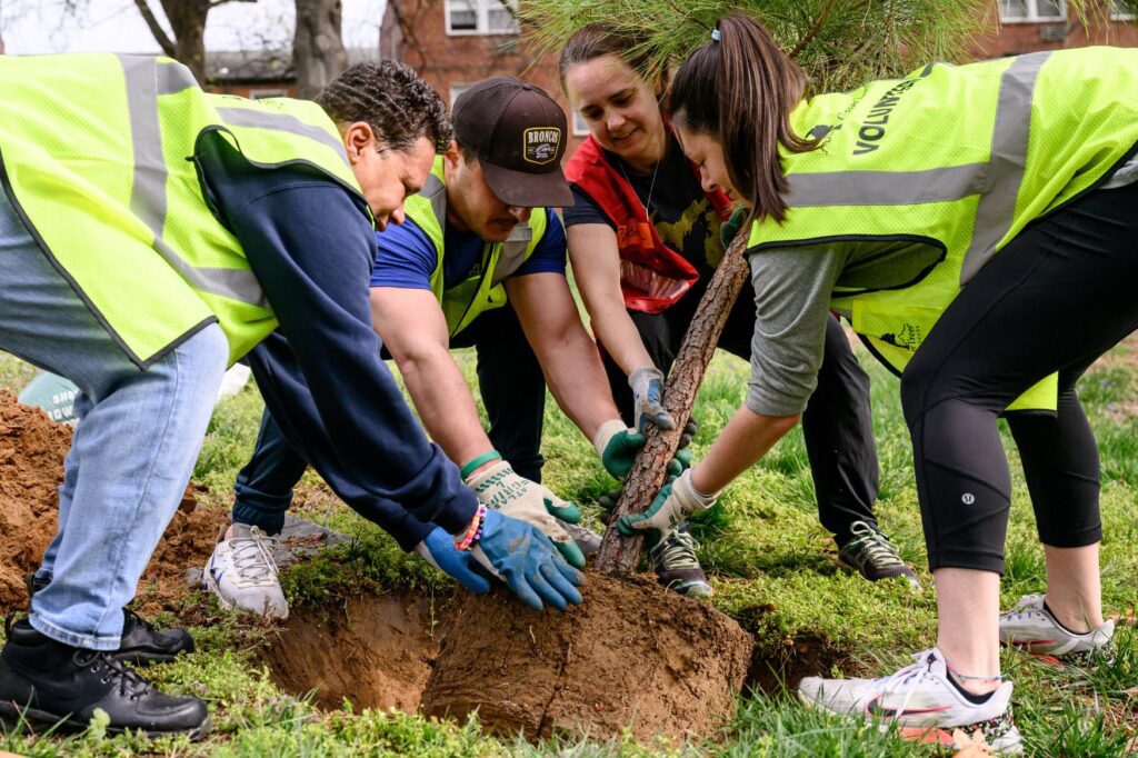 Volunteers planting a tree