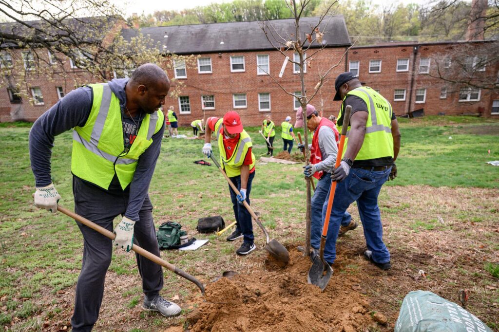 Volunteers planting a tree