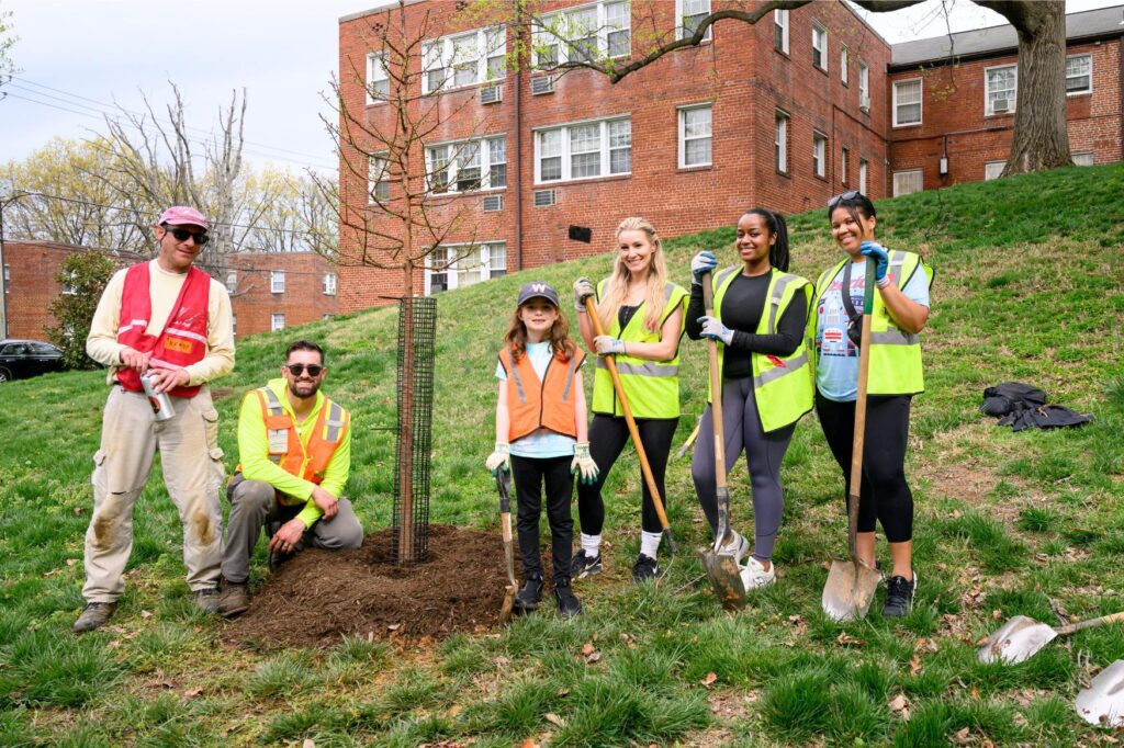 Volunteers planting a tree