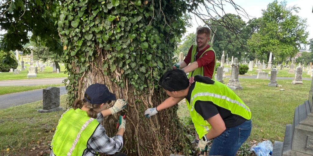 Volunteers helping remove invasive vines