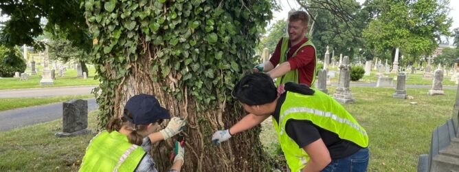 Volunteers helping remove invasive vines
