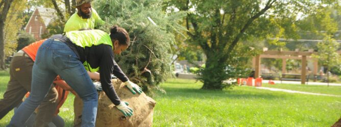 Volunteers planting a tree