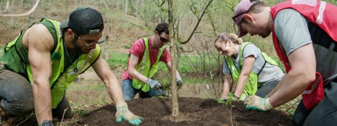 Volunteers planting a tree