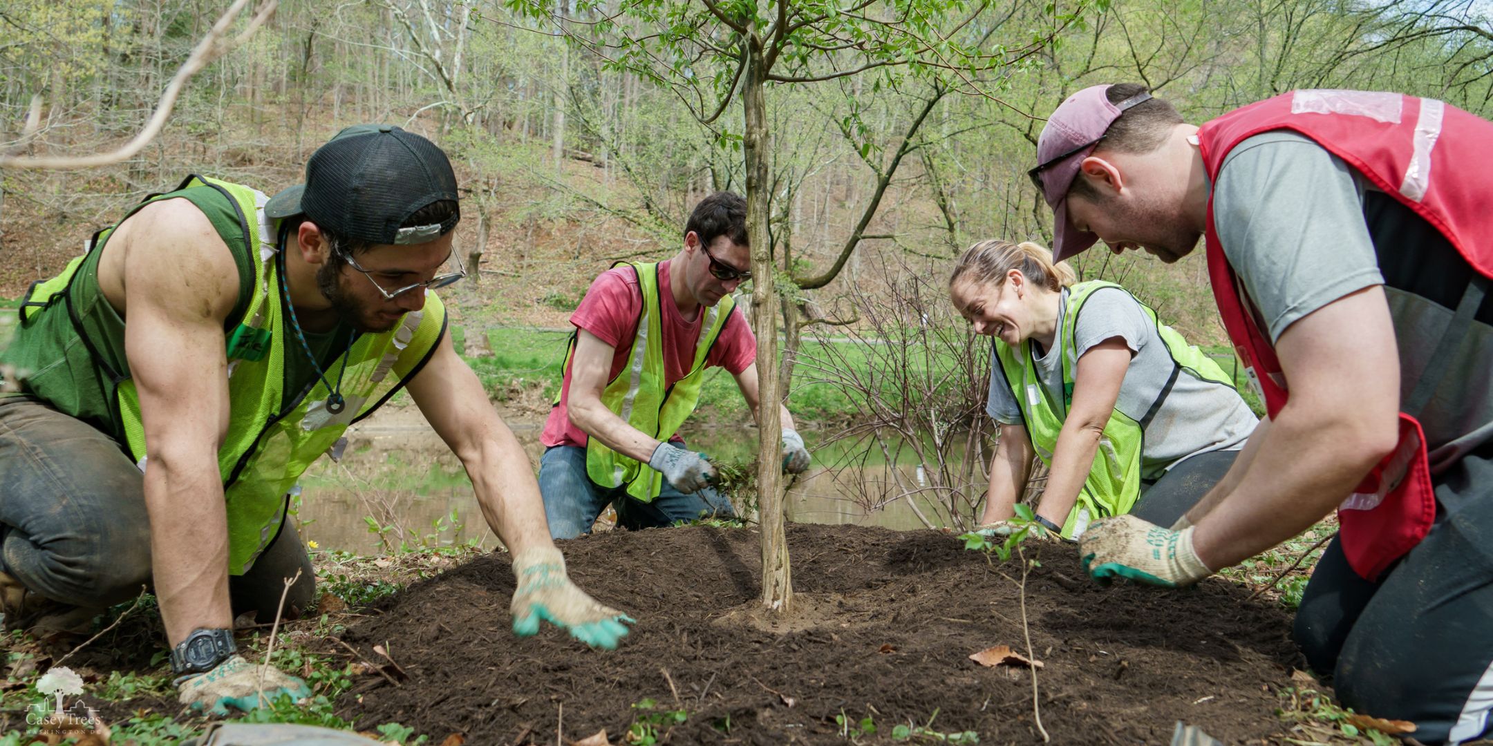 Volunteers planting a tree