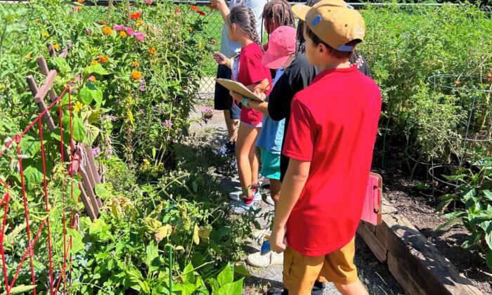 Campers exploring the outdoors at the 2024 TreeWise summer camp