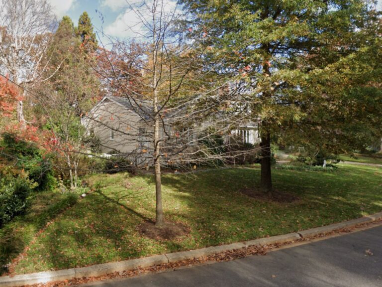 lawn-to-garden-before