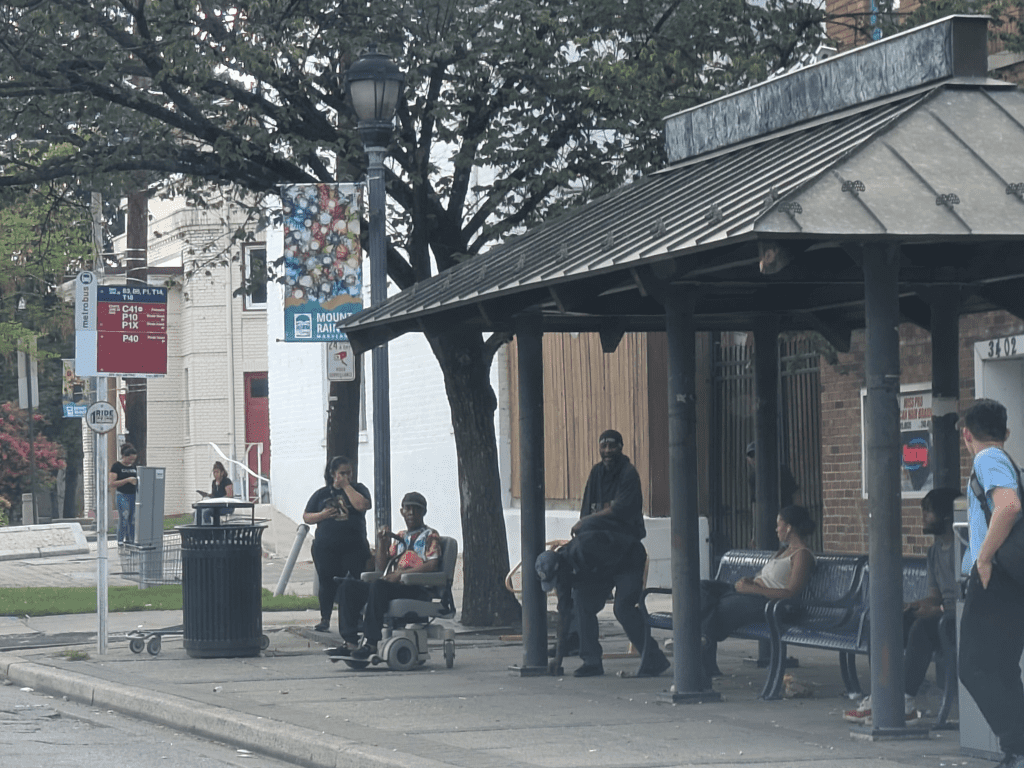 DC bus stop with tree and shelter