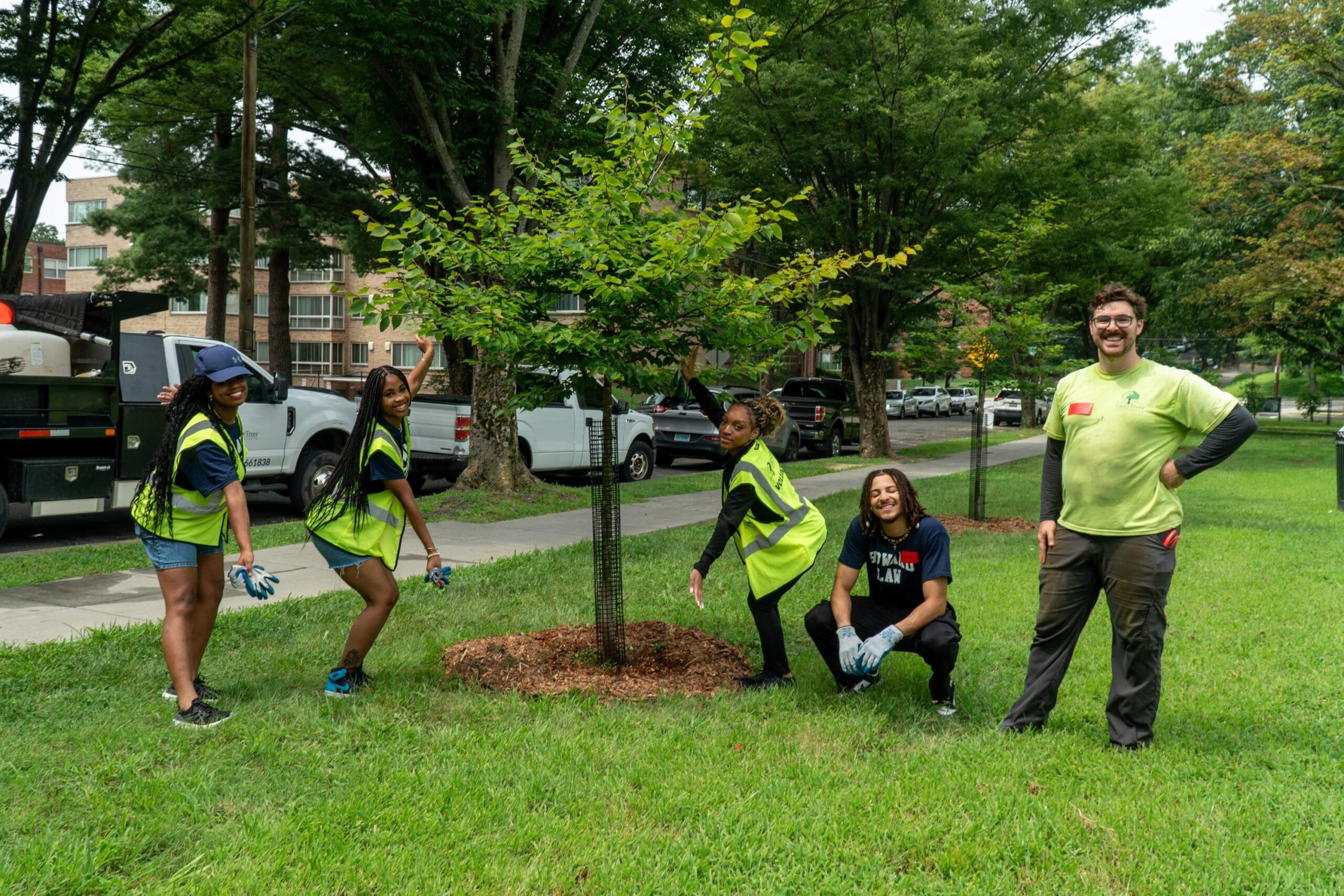 Four incoming Howard University Law students and one Casey Trees employee smile and pose for the camera around a young tree. The students finished mulching, watering, and replacing the deer guard around the tree.