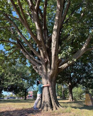 Casey Trees' Conservation Planner, Spenser Balog, hugs a heritage oak tree on the RFK campus
