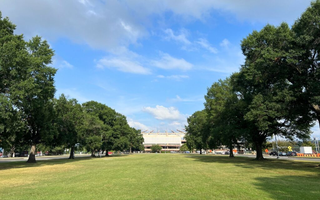 Two rows of heritage and special trees frame the entrance to RFK stadium