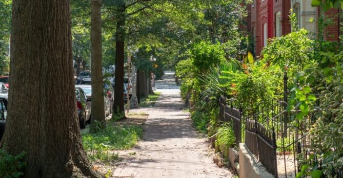 A tree-lined street near H Street in Washington, DC
