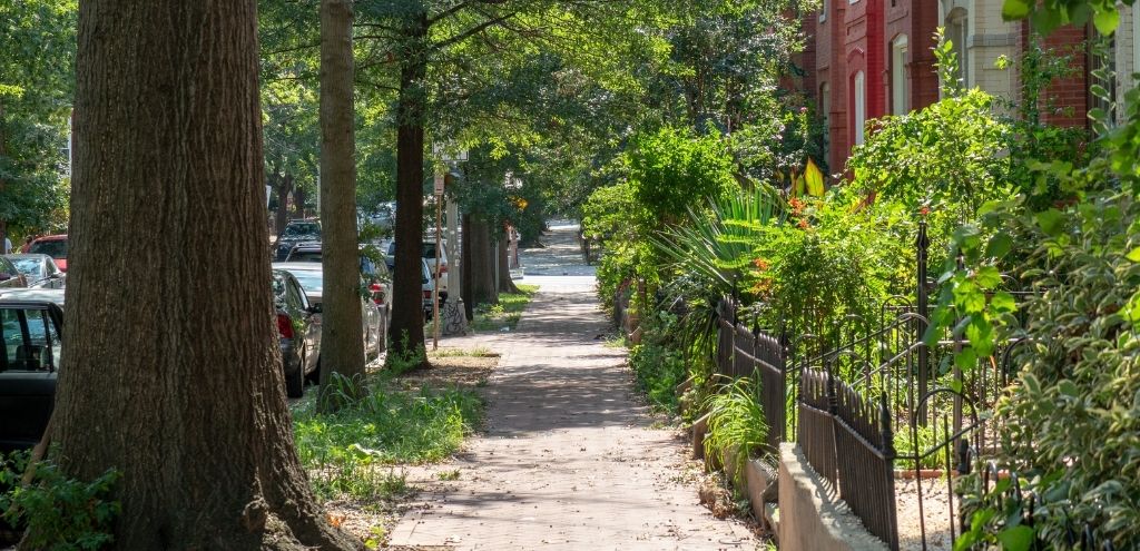 A tree-lined street near H Street in Washington, DC