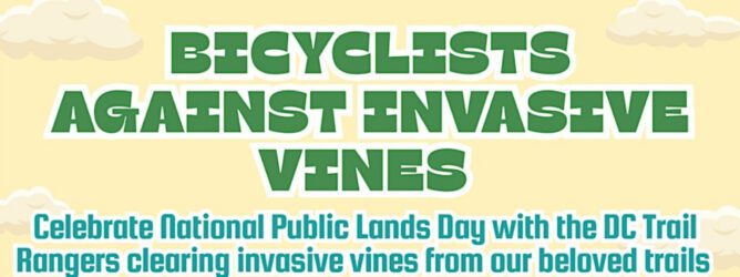BICYCLISTS AGAINST INVASIVE VINES: Celebrate National Public Lands Day with the DC Trail Rangers clearing invasive vines from our beloved trails.