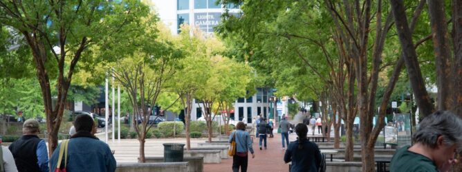 People walking down a tree lined pathway in an urban setting.