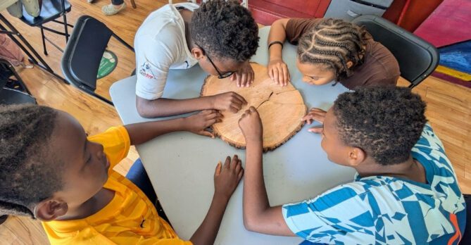 Four kids sit at a table looking at the rings of a cut piece of tree trunk.
