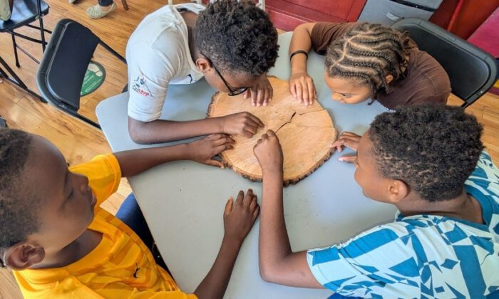 Four kids sit at a table looking at the rings of a cut piece of tree trunk.