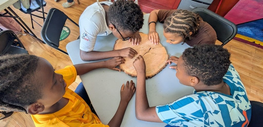 Four kids sit at a table looking at the rings of a cut piece of tree trunk.